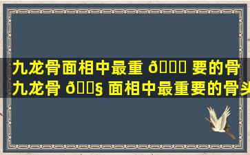 九龙骨面相中最重 💐 要的骨（九龙骨 🐧 面相中最重要的骨头是什么）